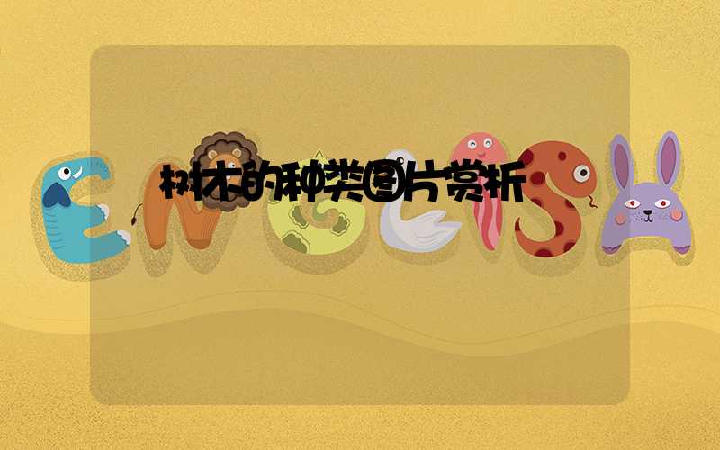  树木的种类图片赏析